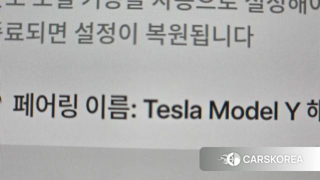 Tesla Model Y id 4854215 из Кореи 19