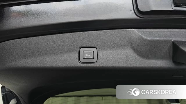 Chevrolet (GM Daewoo) Trailblazer id 4555722 из Кореи 19