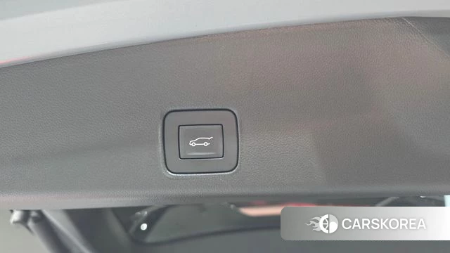 Chevrolet (GM Daewoo) Trailblazer id 4549479 из Кореи 19