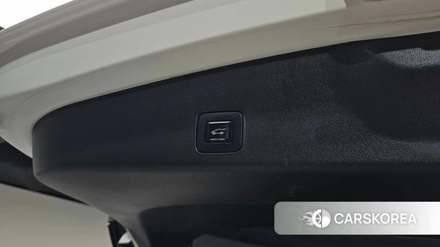 Chevrolet (GM Daewoo) Trailblazer id 4758709 из Кореи 19