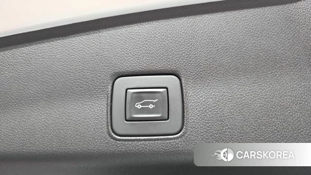 Chevrolet (GM Daewoo) Trailblazer id 4721875 из Кореи 19