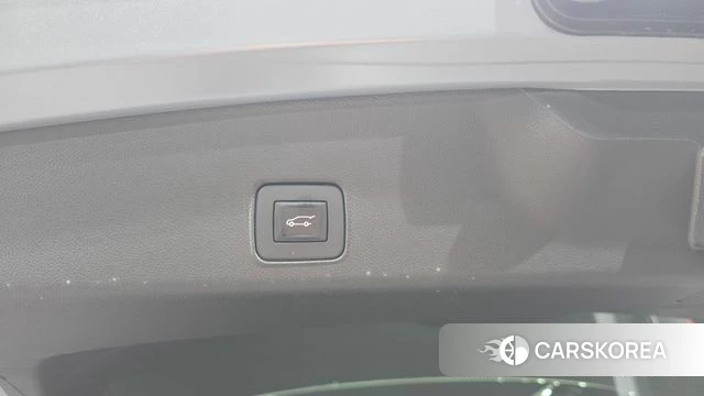 Chevrolet (GM Daewoo) Trailblazer id 4517997 из Кореи 19