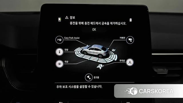 Renault Korea (Samsung) XM3 id 4360967 из Кореи 20