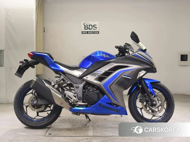 Kawasaki NINJA 250 ABS id 3947108 из Японии 20
