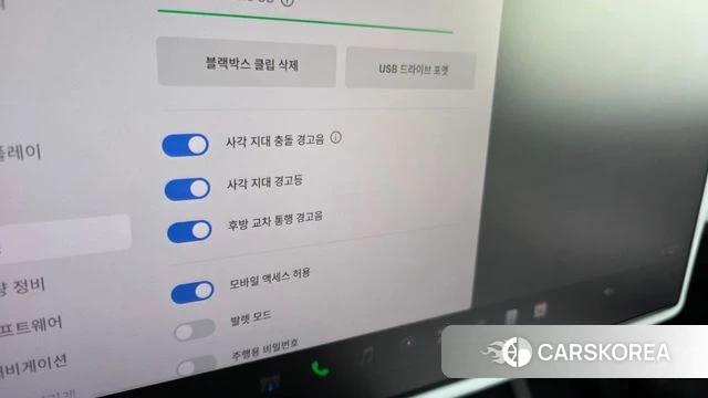 Tesla Model X id 4847147 из Кореи 20