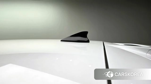 Hyundai Ionic 5 id 4303596 из Кореи 20