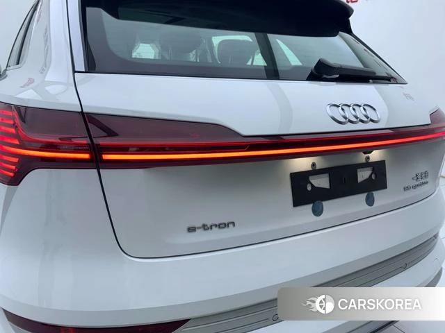 Audi e-tron id 4275788 из Китая 20