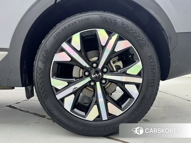 Kia Lion Platinum expands the world id 4259377 из Китая 20