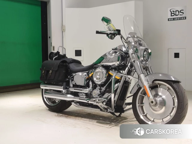 OTHER HARLEY FLSTFI1920 id 3948574 из Японии 20