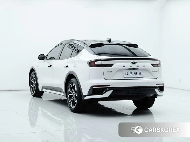 Ford EVOS id 4399886 из Китая 20