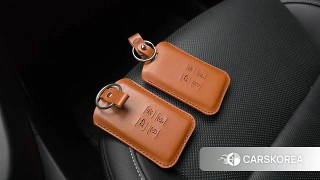 Renault Korea (Samsung) XM3 id 4580642 из Кореи 20