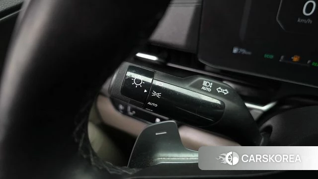 Kia The New Carnival 4th Generation id 4635323 из Кореи 20