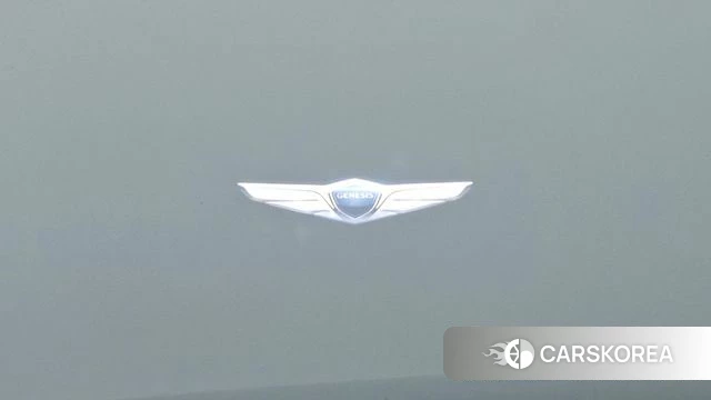 Genesis Electrified G80 (RG3) id 4702270 из Кореи 20