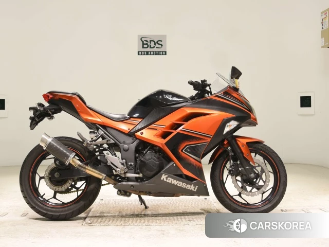 Kawasaki NINJA 250 id 3947007 из Японии 20