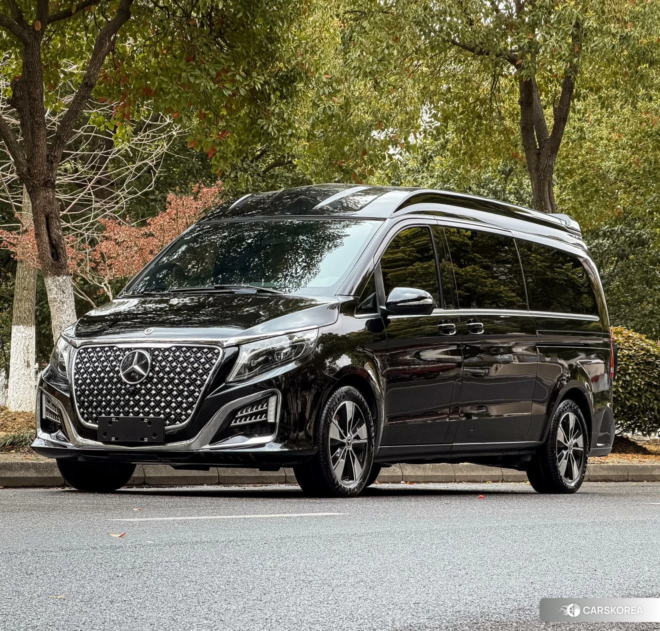 Mercedes-Benz V-class id 4487362 из Китая 20