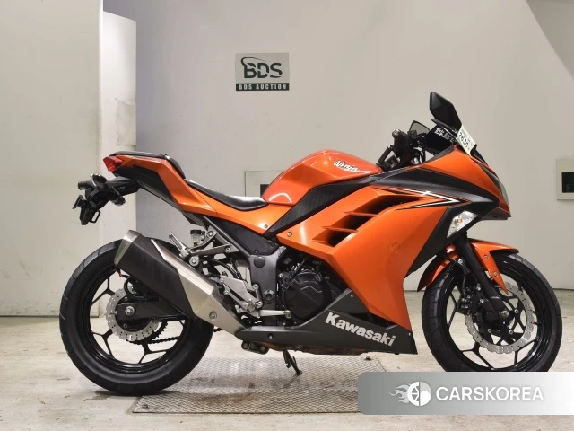 Kawasaki NINJA 250 id 3947355 из Японии 20