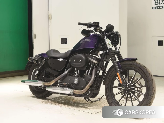 Проданный Harley-Davidson Sportster XL883N id 3945688 из Японии, фото 20