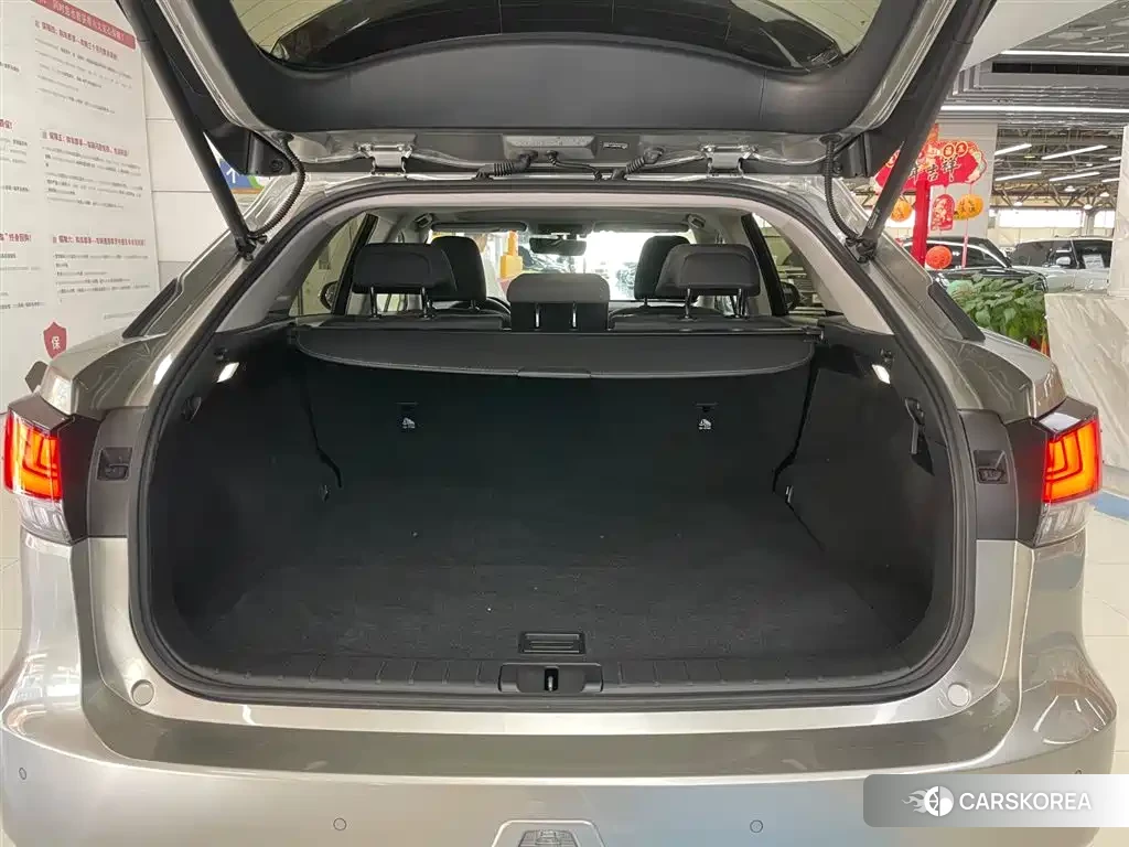 Lexus RX id 4634818 из Китая 21