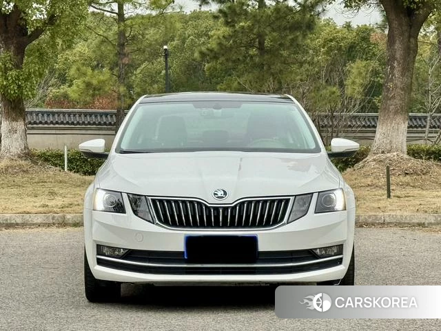 Skoda Octavia id 4238327 из Китая 20