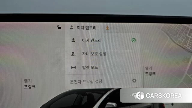 Tesla Model 3 id 4602360 из Кореи 20