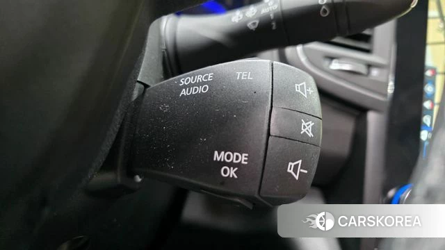 Renault Korea (Samsung) QM6 id 4722556 из Кореи 20