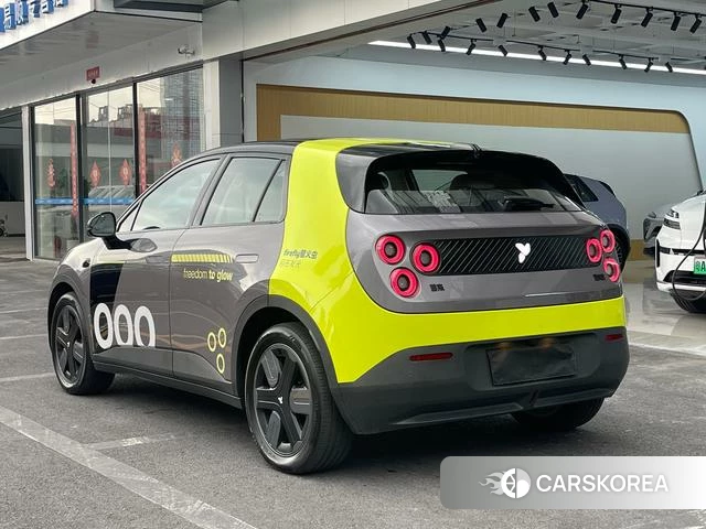 firefly firefly Unknown id 4182703 из Китая 20