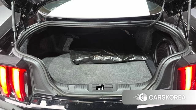 Ford Mustang id 4197147 из Кореи 20