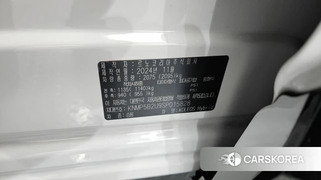 Renault Korea (Samsung) Grand Coleos id 4387977 из Кореи 20