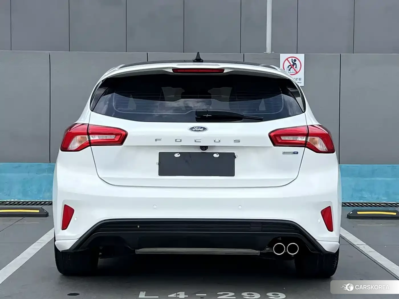Ford Fox id 4545620 из Китая 20