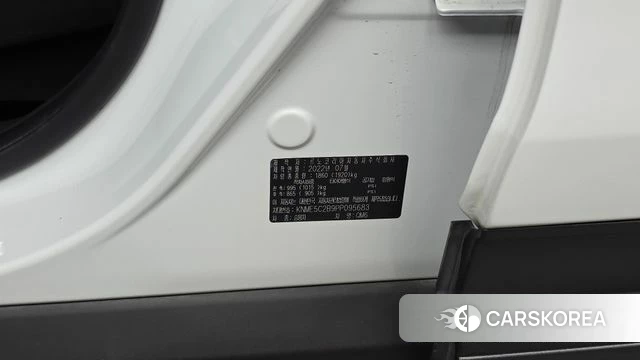 Renault Korea (Samsung) The New QM6 id 4506613 из Кореи 20