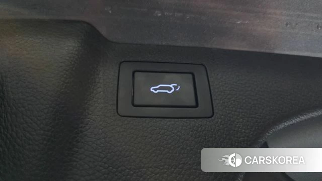 Hyundai Santa Fe The Prime id 4521009 из Кореи 20