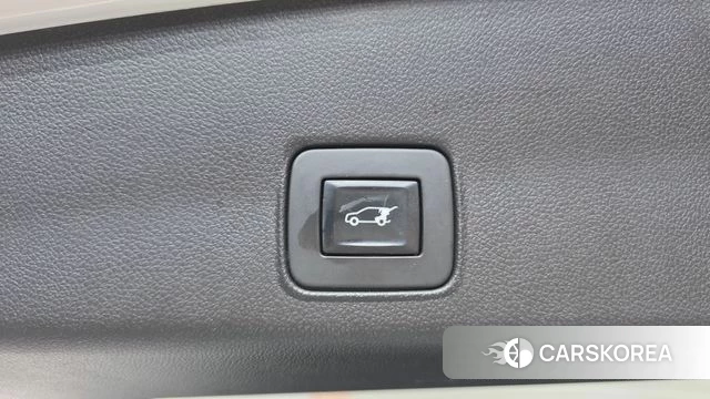 Chevrolet (GM Daewoo) Trailblazer id 4355192 из Кореи 20