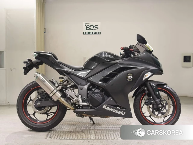 Kawasaki NINJA 250 id 3947292 из Японии 20