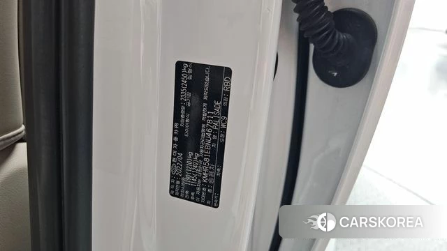 Hyundai Palisade id 4702037 из Кореи 20