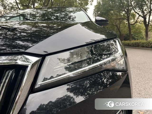 Skoda Speed pie id 4221421 из Китая 20