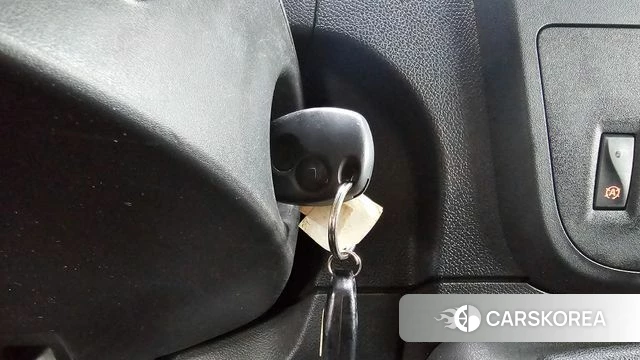 Renault Korea (Samsung) Master id 4727738 из Кореи 20