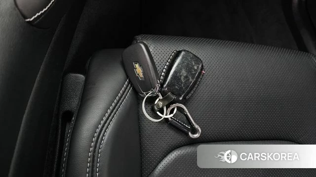 Chevrolet (GM Daewoo) The New Camaro id 4481784 из Кореи 20