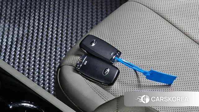 Kia The New Carnival id 4531058 из Кореи 21