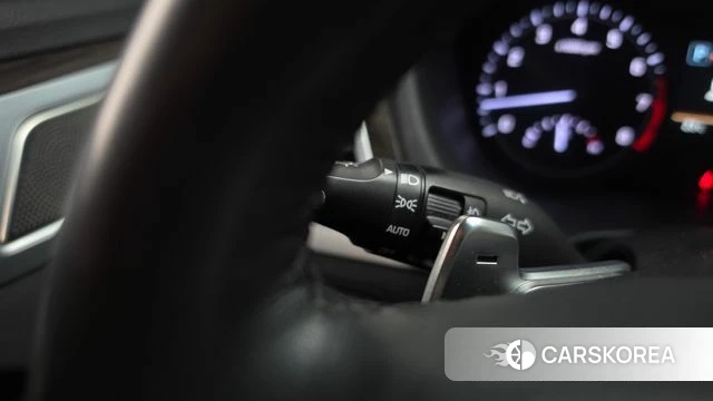 Genesis G80 id 4331807 из Кореи 21