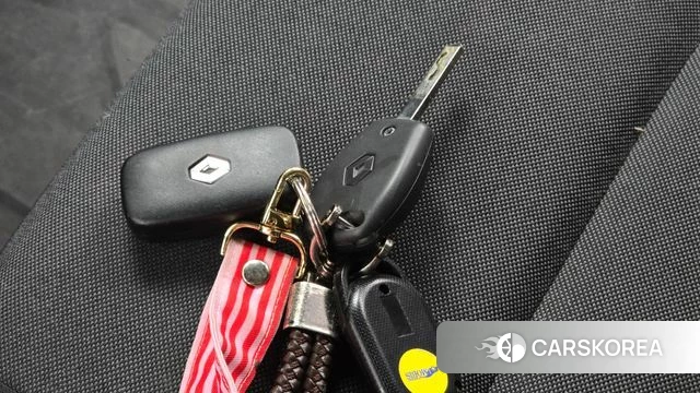 Renault Korea (Samsung) Master id 4586450 из Кореи 21