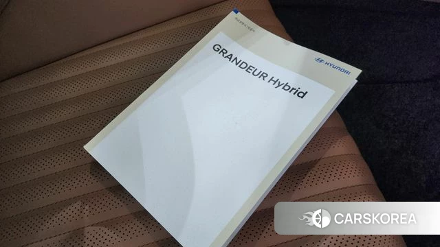 Hyundai Grandeur Hybrid (GN7) id 4892831 из Кореи 21