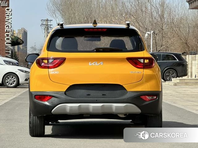 Kia Yi Ran id 4208908 из Китая 21