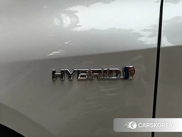 Toyota Lei Ling id 4307574 из Китая 21