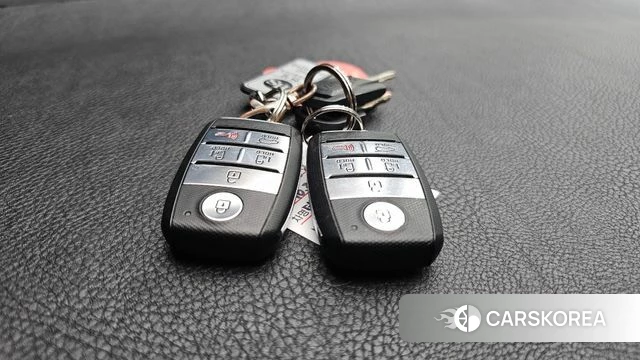 Kia The New Carnival id 4581421 из Кореи 21