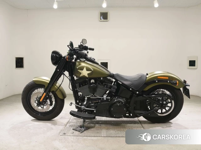 Harley-Davidson Softail Slim S FLSS1800 id 3946322 из Японии 21