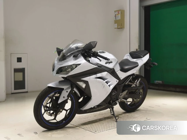Проданный Kawasaki NINJA 250 id 4013176 из Японии, фото 21