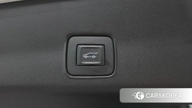 Chevrolet (GM Daewoo) Trailblazer id 4489008 из Кореи 21