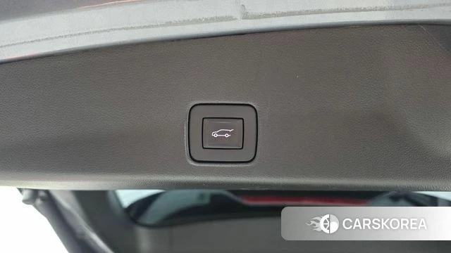 Chevrolet (GM Daewoo) Trailblazer id 4923152 из Кореи 21