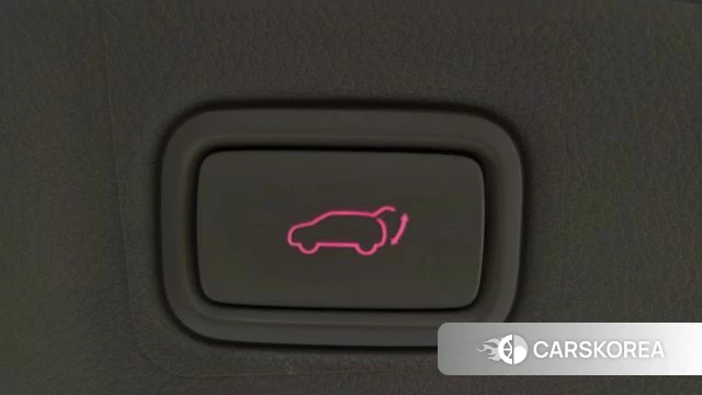 Kia The New Carnival id 4667779 из Кореи 21
