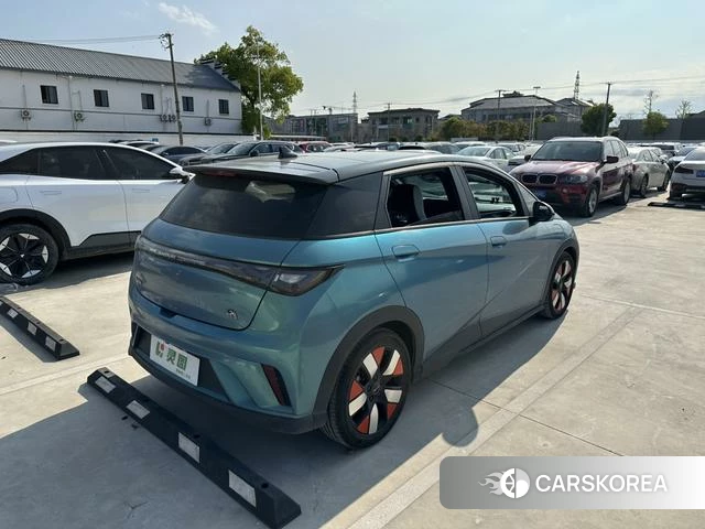 BYD dolphin id 4240196 из Китая 21